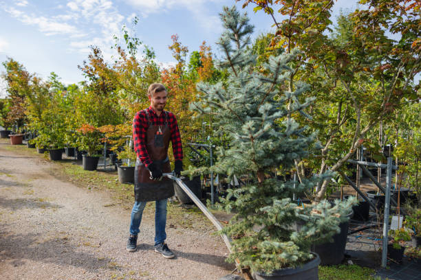 Arcadia, FL  Tree Services Company